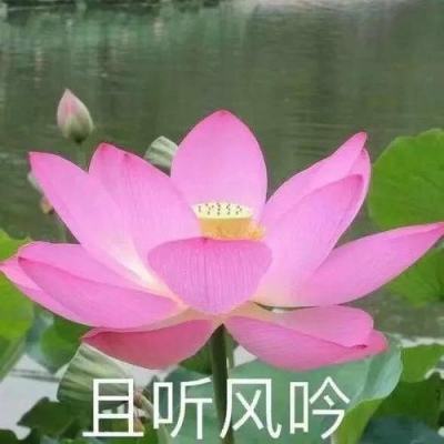 河北官方辟谣：网传